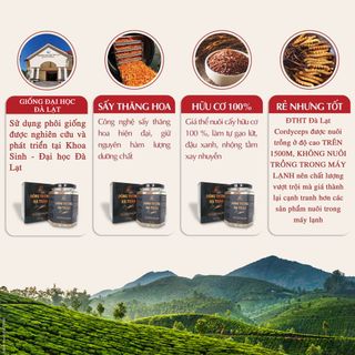 Nấm đông trùng hạ thảo khô sấy thăng hoa (10gr) - Nuôi trồng 100% Organic trên Cao nguyên Đà Lạt