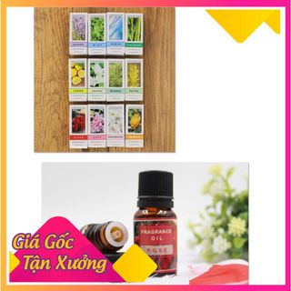 Lọ 10ml Tinh Dầu Thiên Nhiên Nguyên Chất Nhiều Mùi Thơm Phòng Giúp Bạn Thư Giãn Sảng Khoái Mỗi Ngày