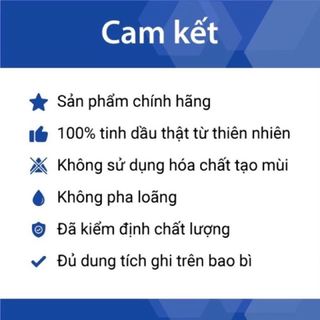 Tinh Dầu Thiên Nhiên 100% Nguyên Chất Nhập Khẩu Ấn Độ - Tinh dầu xông phòng  - Tinh dầu treo xe - đuổi muỗi