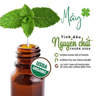 Tinh Dầu Thiên Nhiên, Tinh Dầu Thơm Phòng Massage Đuổi Muỗi Có Kiểm Nghiệm - DIFFUSER LUX
