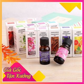 Lọ 10ml Tinh Dầu Thiên Nhiên Nguyên Chất Nhiều Mùi Thơm Cho Phòng Giúp Bạn Thư Giãn Sảng Khoái Mỗi Ngày