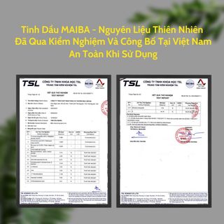 Tinh dầu thơm phòng thiên nhiên MAIBA hộp vàng sang trọng kèm que gỗ tự khuếch tán 50ml