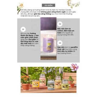Nến thơm hũ Yankee Candle size L - BST mùi hương đặc biệt (623g)