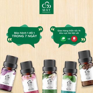 Tinh dầu thiên nhiên nguyên chất May Fragrance lọ 10 ml | Kiểm nghiệm GC - MS