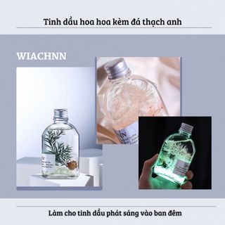 Tinh Dầu Thơm Phòng Phát Sáng Ban Đêm WIACHNN 100ml Que Gỗ Tự Khuếch Tán Hương Khử Mùi Không Khí P0