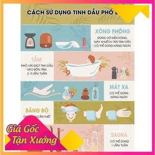 Tinh dầu thiên nhiên Kobi giúp thơm phòng, xả stress, kích thích miễn dịch