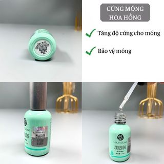 Base,Top ,cứng móng hoa hồng giá sỉ