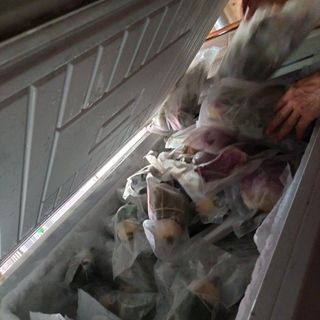 Trà ướp hoa sen Tây Hồ
