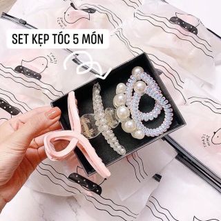 Sét Kẹp Tóc Ngoạm Giả Ngọc Trai Kèm Dây Buộc 5 Chi Tiết Siêu Sang giá sỉ