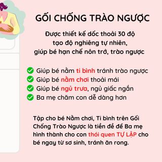 Combo Đệm Sofa Chống Trào Size Đại Hapiso