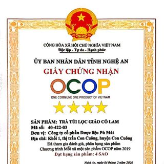 TRÀ TÚI LỌC GIẢO CỔ LAM - HẠ MỠ MÁU, ĐIỀU HÒA HUYẾT ÁP, ĐẸP DA