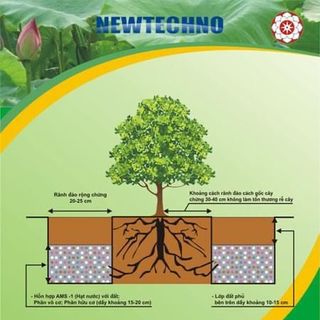 AMS1- polyme siêu hấp thụ nước