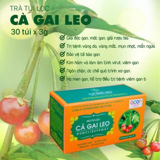 TRÀ TÚI LỌC CÀ GAI LEO GIẢI ĐỘC GAN 90G