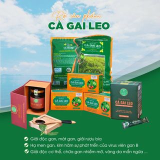TRÀ TÚI LỌC GIẢI ĐỘC GAN PÙ MÁT - 1KG