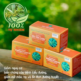 TRÀ TÚI LỌC DÂY THÌA CANH PÙ MÁT 90G– HỖ TRỢ ĐIỀU TRỊ BỆNH TIỂU ĐƯỜNG