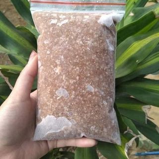 Cua biển xay sẵn 1kg