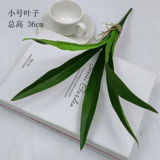 Cỏ 5-9 lá