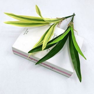 Cỏ 5-9 lá