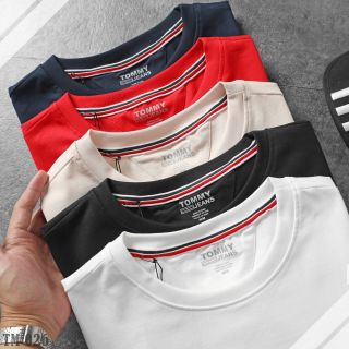 Áo thun cotton nam, áo thun nam cao cấp, chất liệu: cotton 4 chiều, mềm mịn mát - size từ 65kg - 95kg
