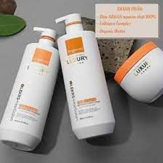 Combo Gội Xả, Ủ Tóc Olexrs Hair Salon Phục hồi Tóc chống Rụng Kích Thích Mọc Tóc - 500ml-960ml