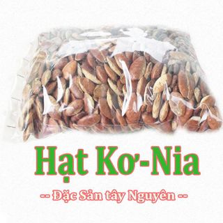Hạt Kơ Nia rừng đặc sản Ban Mê