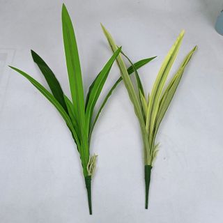 Cỏ 5-9 lá