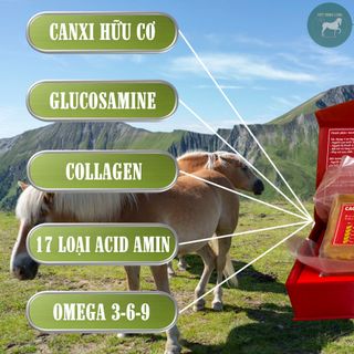 Cao ngựa bạch nguyên chất Việt Minh Long - Hộp 100G