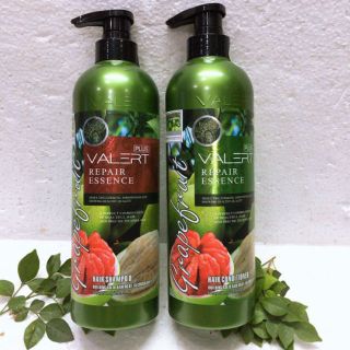 Combo Dầu Gội Xả Xịt Tóc Bưởi Grapefruit VALERT PULS Kích Thích Mọc Tóc, Phục Hồi Và Chống Rụng Tóc