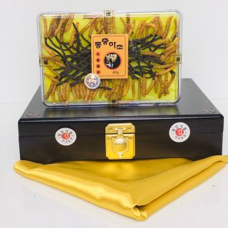 Đông trùng hạ thảo nguyên con hộp 45g