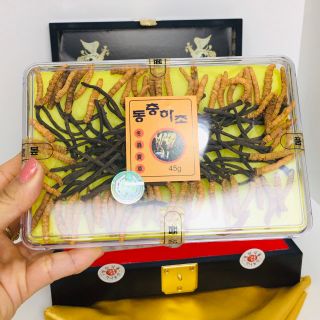 Đông trùng hạ thảo nguyên con hộp 45g