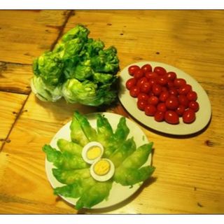 0,2gr hạt giống cải mầm đá