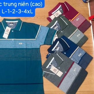 ÁO SỌC KARO TRUNG NIÊN CAO CẤP.