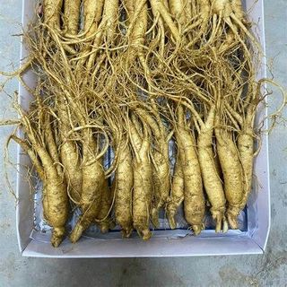 Sâm Tươi Hàn Quốc 8 Củ 1kg 6 năm tuổi