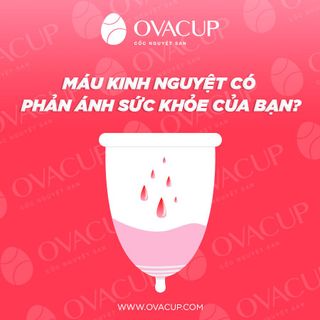 Cốc nguyệt san Ovacup y tế mềm chống tràn nhập khẩu chính hãng Made In USA 100% đạt tiêu chuẩn FDA