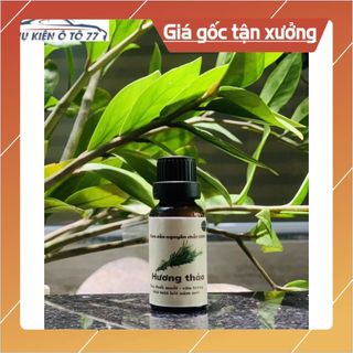 Tinh Dầu Treo Xe Ô Tô Thương Hiệu Ngọc Lan – Giúp Khử Mùi – Hơn Cả Sự Đẳng Cấp KHO SỈ TOÀN QUỐC