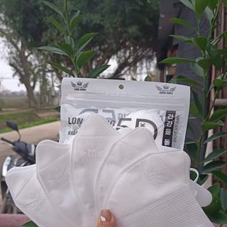 Khẩu Trang 5D các loại