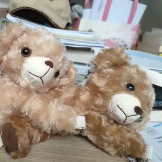 Túi đeo chéo hình gấu teddy siêu dễ thương hottrend