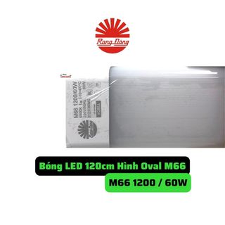 (Chính Hãng) Rạng Đông Bộ Đèn LED Bán Nguyệt M66 - 12m - 60W - Sáng Trắng giá sỉ