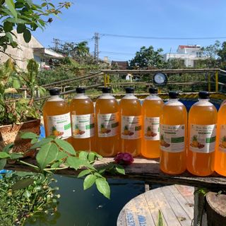 [1 lít] Nước rửa chén Hữu Cơ Bồ Hòn không chất tẩy rửa an toàn cho da tay thân thiện với môi trường Kháng khuẩn Chống mỡ
