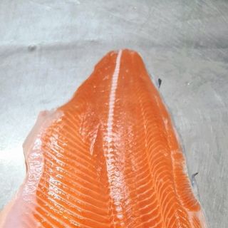 #Cá_hồi_Coho_philê, cắt khay theo yêu cầu Nhập khẩu chile
