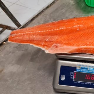 #Cá_hồi_Coho_philê, cắt khay theo yêu cầu Nhập khẩu chile