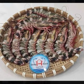 Tôm noãn gãy tiện lợi - giá tốt cho nhà hàng, quán ăn