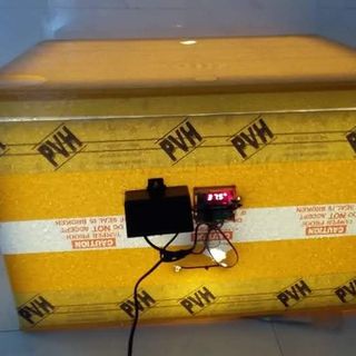máy ấp nở đạt 100 giá sỉ