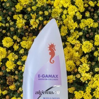 Sữa tắm cá ngựa