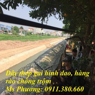 Dây thép gai hình dao đường kính 45mm- mạ kẽm nhúng nóng, chống gỉ