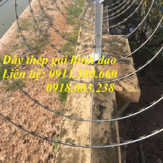 Dây thép gai hình dao đường kính 45mm- mạ kẽm nhúng nóng, chống gỉ