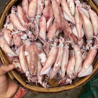 Mực Trứng Hấp Không trung gian