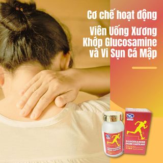 Viên Uống Bổ Xương Khớp Glucosamine & Vi Sụn Cá Mập SHIRATORI - Cải thiện sưng đau, duy trì sự dẻo dai cho xương khớp -240 viên