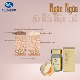 REBORN Viên Uống Tái Tạo Da