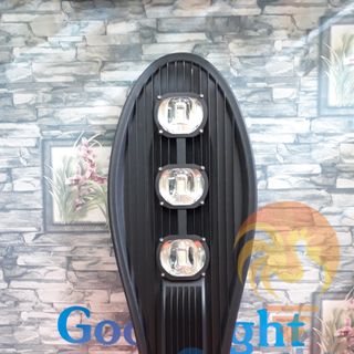 Đèn đường led chiếc lá 100W D01